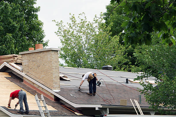 Quick and Trustworthy Emergency Roof Repair Services in Doctor Phillips, FL